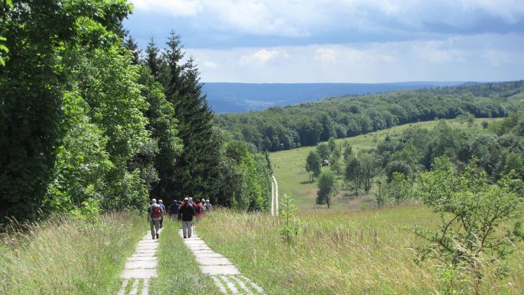 Landhaus Am Westerwald Martinfeld Ngoại thất bức ảnh